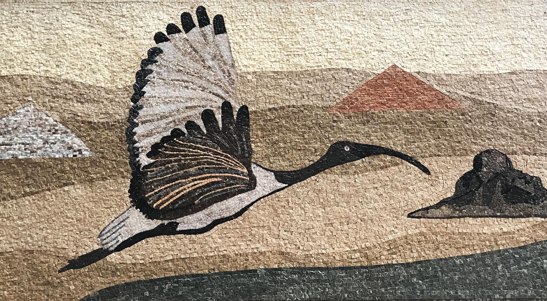 Sacred Ibis over Dahshur